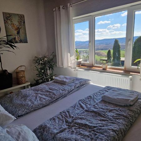 Panorama Apartman Pilisszanto Leilighet Eksteriør bilde